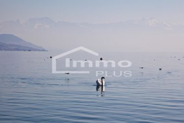 ESPACE - LUMINOSITE - VUE ! Somptueuse villa d'architecte avec vue panoramique sur le lac et les Alpes et le Mont-Blanc !