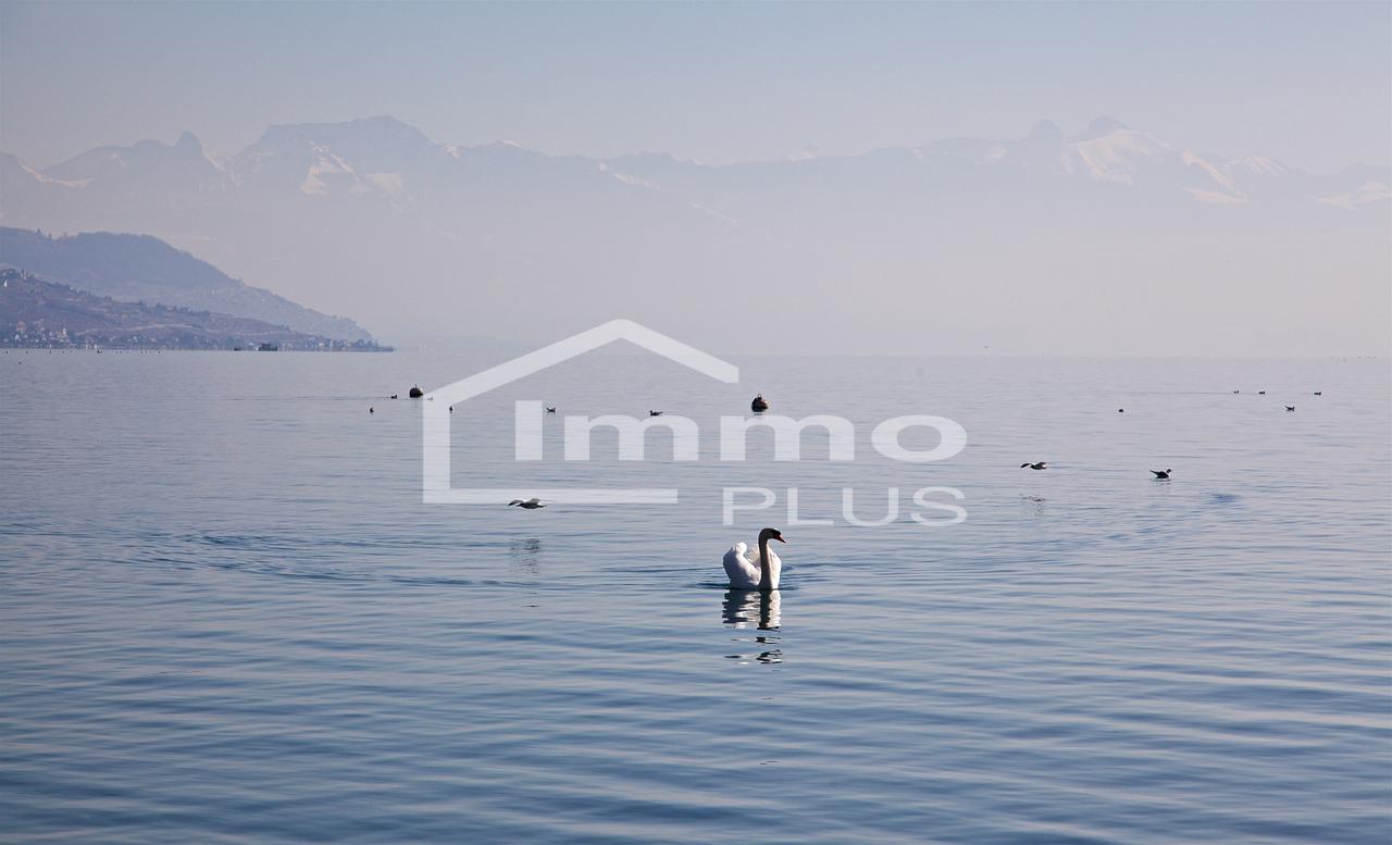 ESPACE - LUMINOSITE - VUE ! Somptueuse villa d'architecte avec vue panoramique sur le lac et les Alpes et le Mont-Blanc !