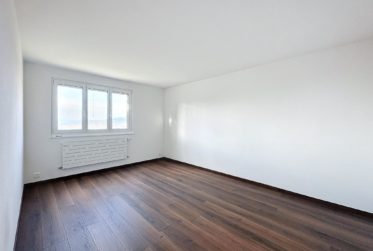 Superbe chalet avec vue panoramique sur le lac et les montagnes !
